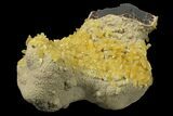 Fluorescent, Yellow Calcite Crystal Cluster - South Dakota #170697-1